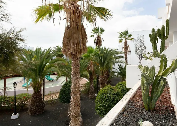 Daruma Costa Teguise