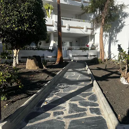 Daruma Costa Teguise