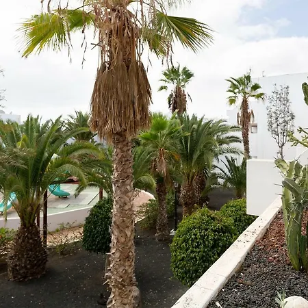 Daruma Costa Teguise