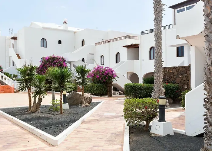 Daruma Daire Costa Teguise